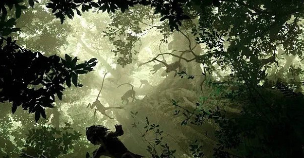 《森林之子》怎麽生火? 遊戲中生火方法介紹 《森林之子》怎麽生火? 遊戲中生火方法介紹