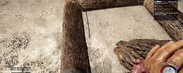《森林之子》屋頂如何建造呢?屋頂建造方法 《森林之子》屋頂如何建造呢?屋頂建造方法