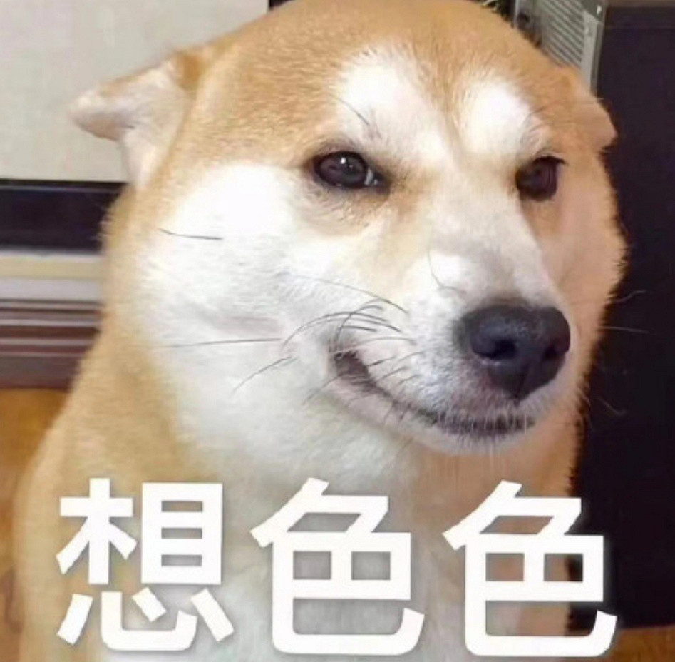 貼吧老哥們又被詐屍復活的《墮落玩偶》玩弄了