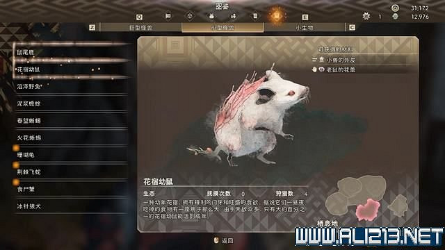 《狂野之心》全章節流程全Boss打法圖文攻略 怎麽通關? 《狂野之心》全章節流程全Boss打法圖文攻略 怎麽通關?