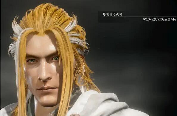 《臥龍蒼天隕落》捏臉程式碼怎麽用？捏臉男性程式碼分享