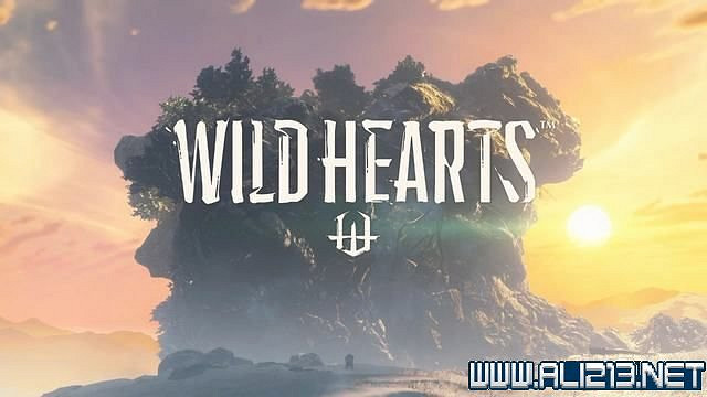 《狂野之心》全章節流程全Boss打法圖文攻略 怎麽通關? 《狂野之心》全章節流程全Boss打法圖文攻略 怎麽通關?