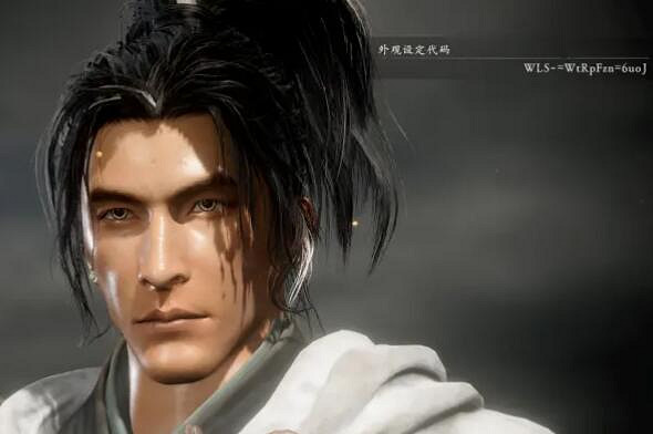 《臥龍蒼天隕落》捏臉程式碼怎麽用？捏臉男性程式碼分享