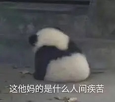 《歧路旅人2》十星魔物怎麽獲得？十星魔物位置及技能匯總