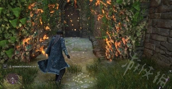 《霍格華茲的傳承》草藥學暗廊攻略 草藥學暗廊怎麽去? 《霍格華茲的傳承》草藥學暗廊攻略 草藥學暗廊怎麽去?