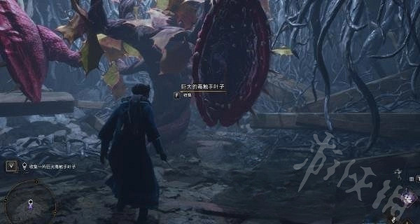 《霍格華茲的傳承》草藥學暗廊攻略 草藥學暗廊怎麽去? 《霍格華茲的傳承》草藥學暗廊攻略 草藥學暗廊怎麽去?