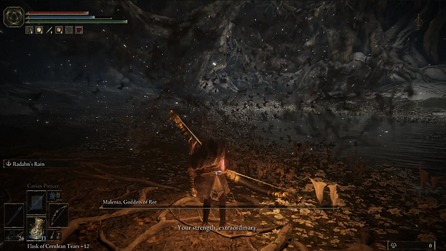 《艾爾登法環》DLC正式公布 “女武神殺手”宣布退休