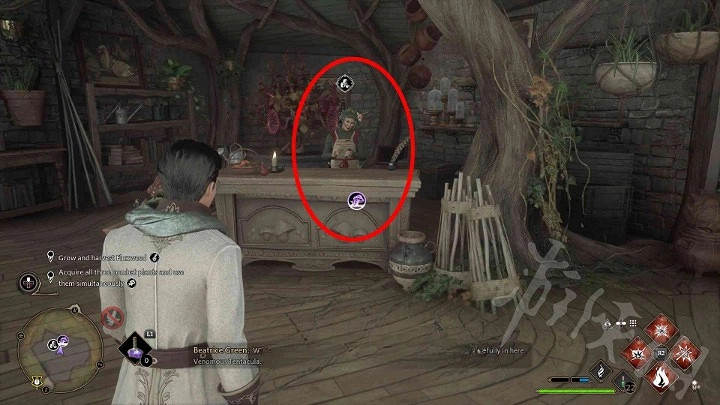 《霍格華茲的傳承》茱萸與毒菇位置分享  茱萸與毒菇在哪？