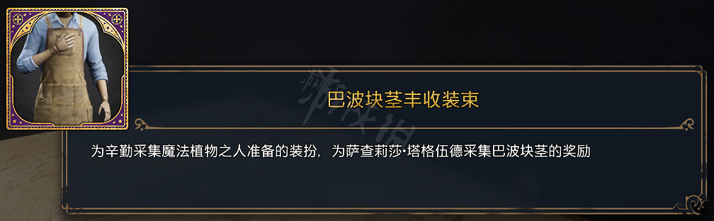 《霍格華茲的傳承》全服裝圖鑒 能獲取幾套衣服? 《霍格華茲的傳承》全服裝圖鑒 能獲取幾套衣服?