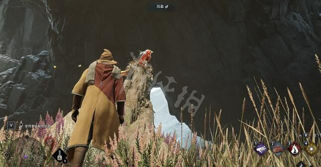 《霍格華茲的傳承》鳳凰支線怎麽完成？鳳凰崛起支線任務攻略