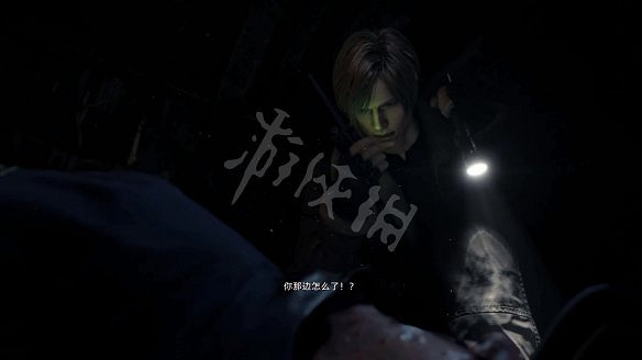 《惡靈古堡4：重製版》圖文攻略 全流程全Boss全武器全珍寶全收集