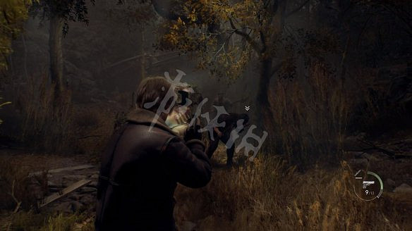 《惡靈古堡4：重製版》圖文攻略 全流程全Boss全武器全珍寶全收集