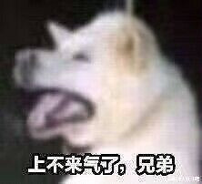 Humble Bundle的“慈善包”開始做真正的慈善了