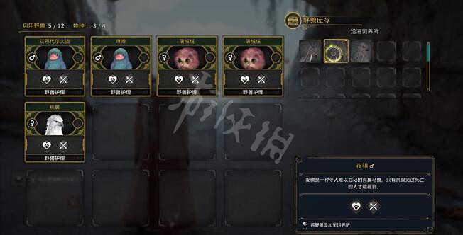 《霍格華茲的傳承》騎士墜鬼馬怎麽培育？亡靈之駒任務玩法攻略