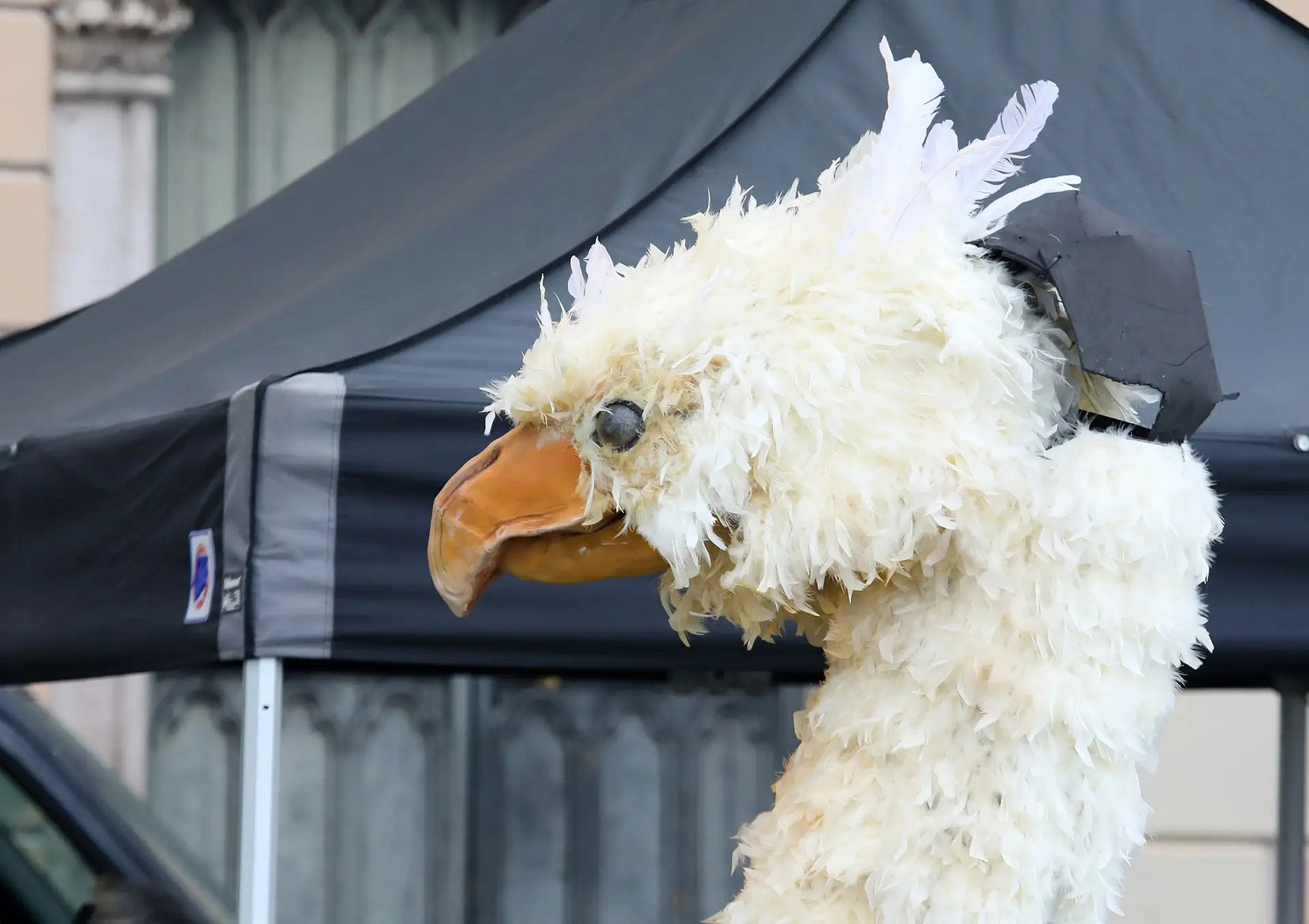 疑是《FF16》真人宣傳片片場照曝光 還有陸行鳥！