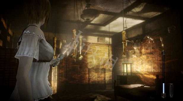 《零月蝕的假面》和濡鴉之巫女哪個好玩?玩法上的區別有哪些 《零月蝕的假面》和濡鴉之巫女哪個好玩?玩法上的區別有哪些