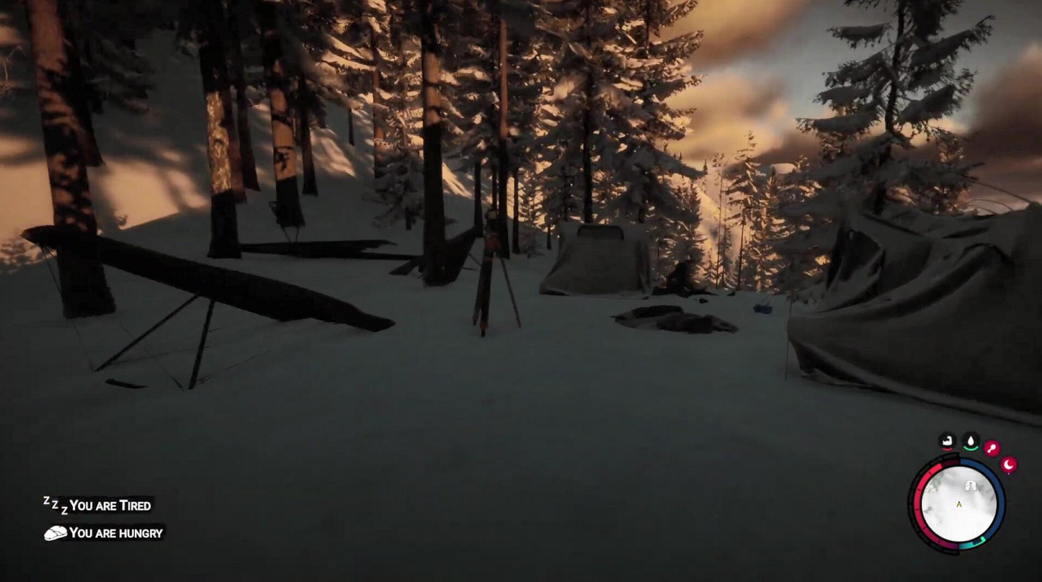 你都找到了嗎！《森林之子》11個滑翔翼具體位置一覽