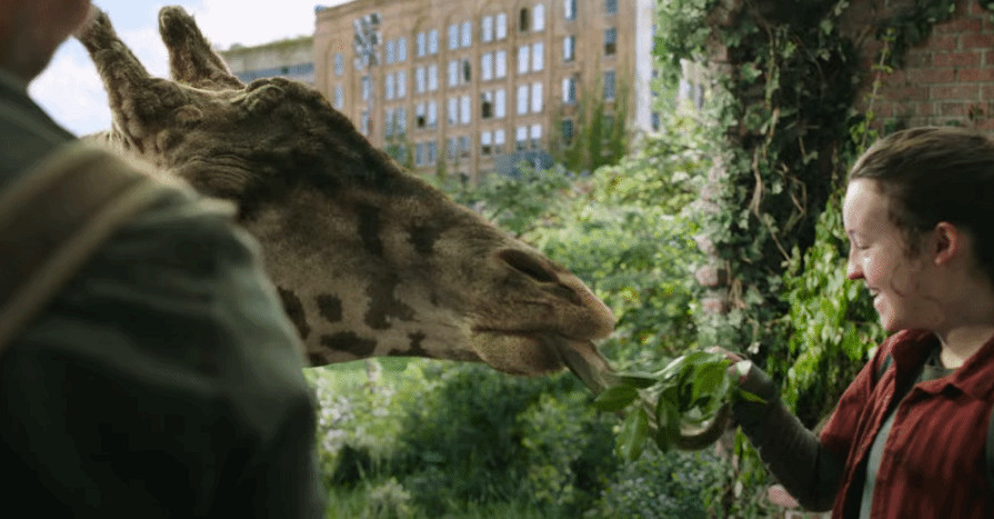 《最後生還者》劇集大結局IGN8分:令人難忘 忠於原作 《最後生還者》劇集大結局IGN8分:令人難忘 忠於原作