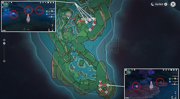《原神》3.5版珊瑚真珠怎麽收集？3.5版珊瑚真珠收集路線分享