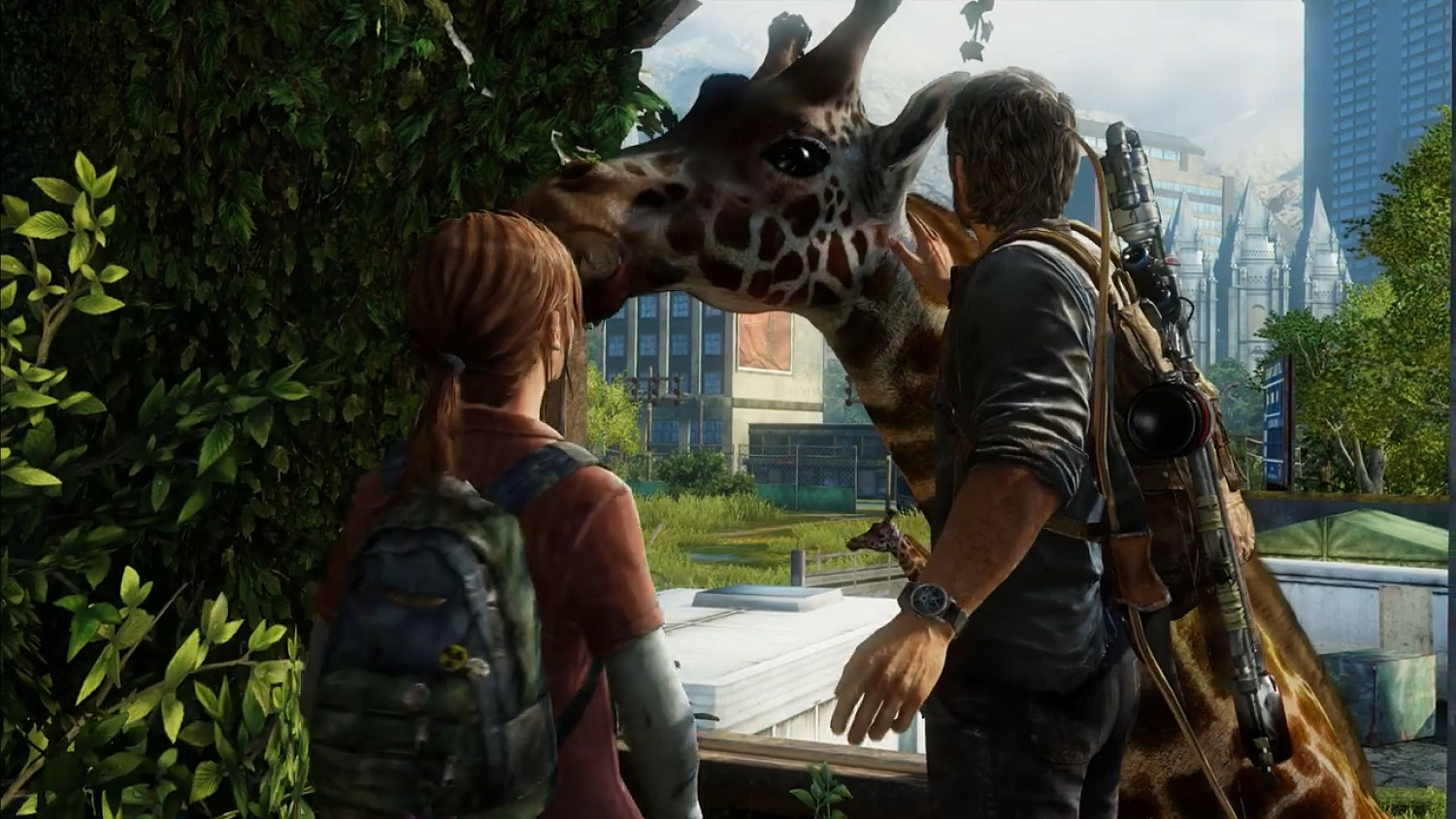 名場面還原!《最後生還者》最後一集的長頸鹿並非特效 名場面還原!《最後生還者》最後一集的長頸鹿並非特效