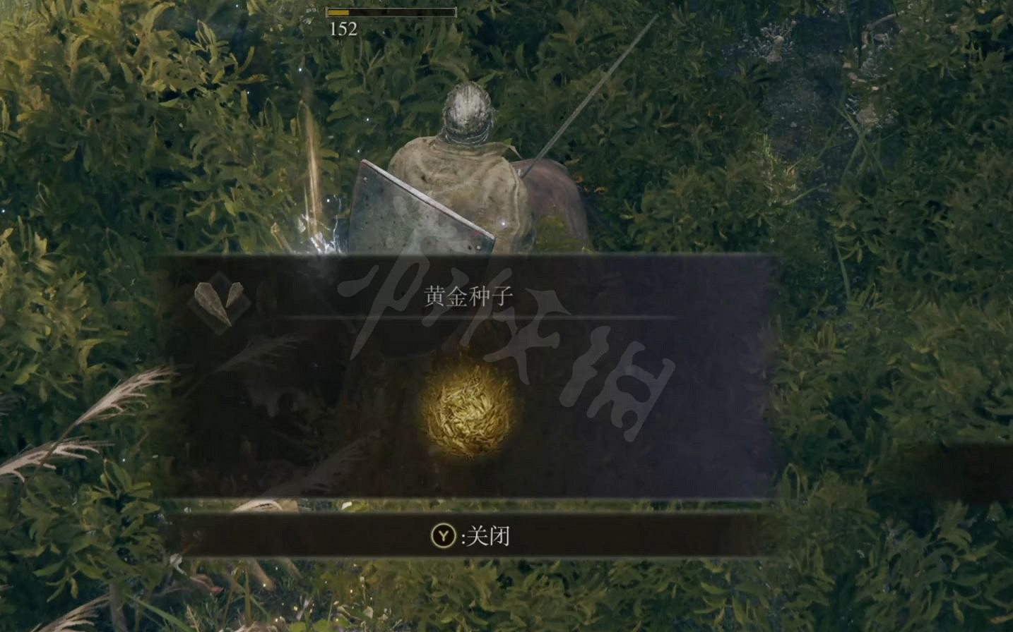 《艾爾登法環》怎麽開荒比較好?艾爾登法環開荒指南一覽 《艾爾登法環》怎麽開荒比較好?艾爾登法環開荒指南一覽