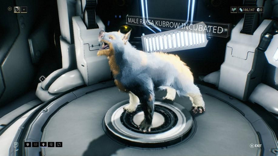 20年後重讀《最後一戰》歷史的底色是黑暗 殘忍和浪漫 20年後重讀《最後一戰》歷史的底色是黑暗 殘忍和浪漫