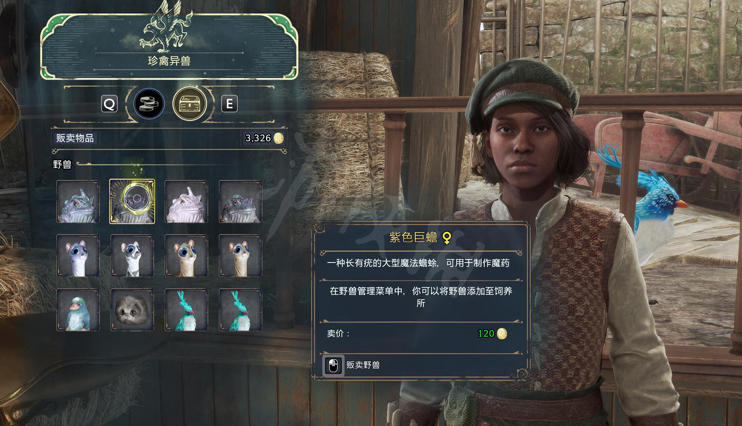 《霍格華茲的傳承》快速刷錢方法 如何快速刷錢？