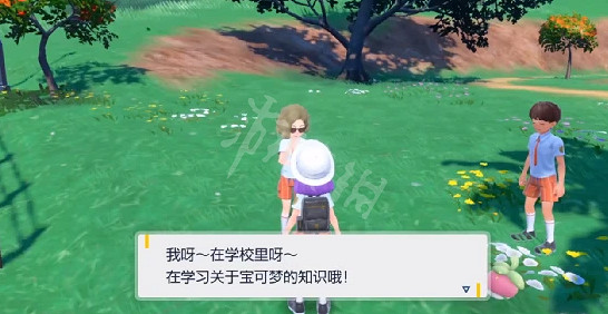 《寶可夢朱紫》萌新入坑怎麽玩?新人入坑指南 《寶可夢朱紫》萌新入坑怎麽玩?新人入坑指南