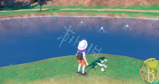 《寶可夢朱紫》萌新入坑怎麽玩?新人入坑指南 《寶可夢朱紫》萌新入坑怎麽玩?新人入坑指南