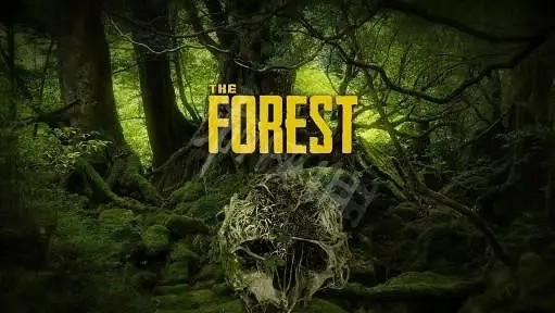 《森林之子》全控制台程式碼 作弊碼有哪些? 《森林之子》全控制台程式碼 作弊碼有哪些?