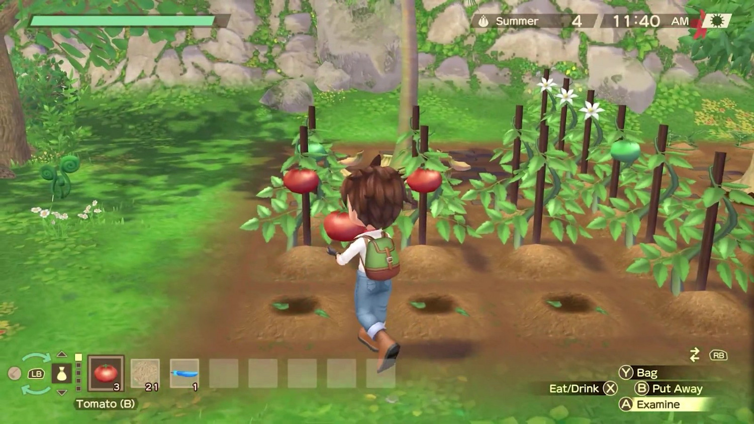 《牧場物語 Welcome！美麗人生》遺忘之谷預告片