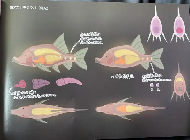 《塞爾達傳說王國之淚》將會有海底神廟？ 遊戲詳解