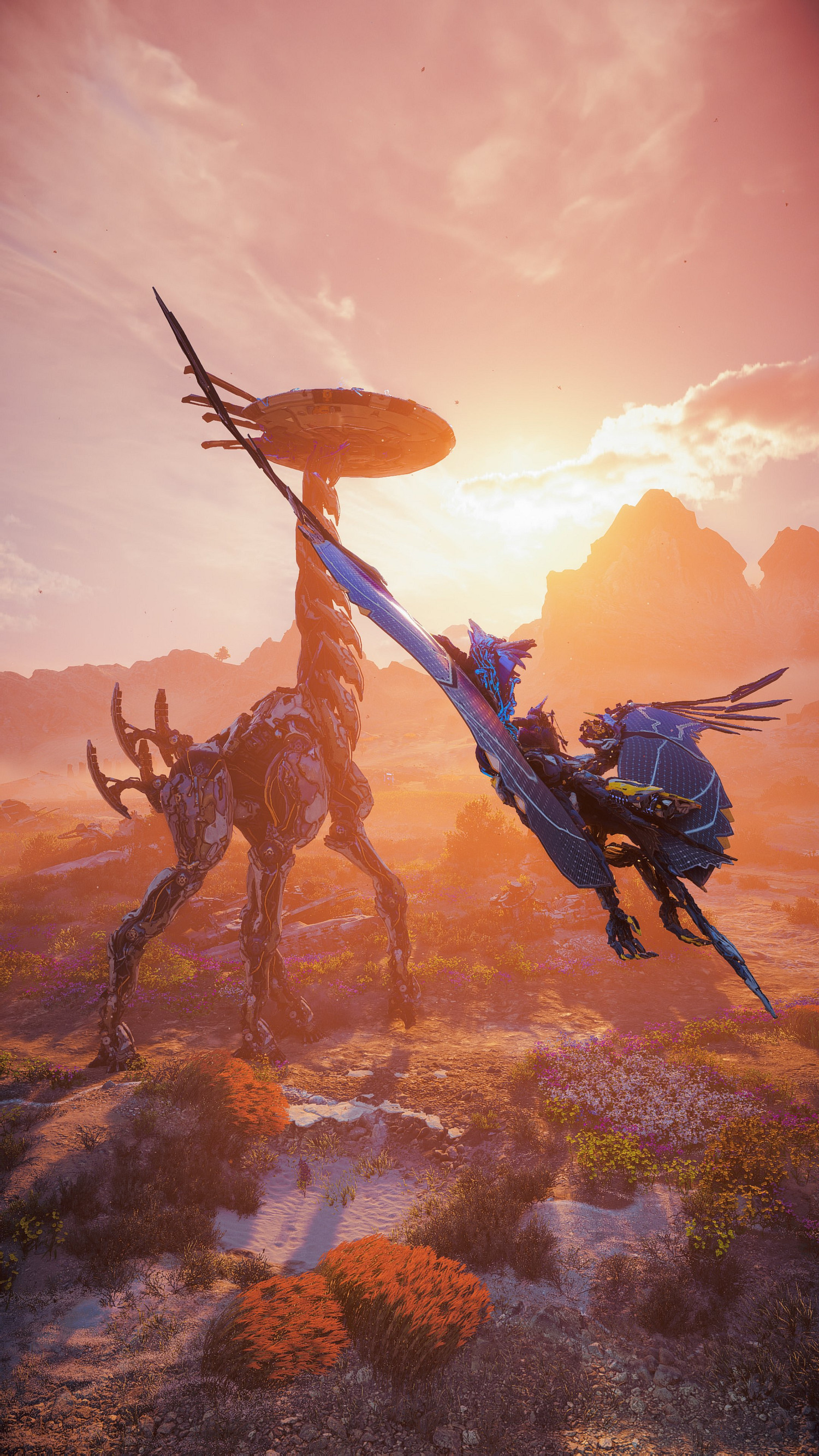 《地平線：西域禁地》女主美照賞 可愛容顏看一眼就心動