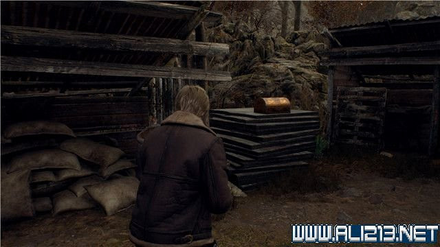 《惡靈古堡4重製版》全章節攻略圖文流程詳解 全支線全物品收集攻略 《惡靈古堡4重製版》全章節攻略圖文流程詳解 全支線全物品收集攻略