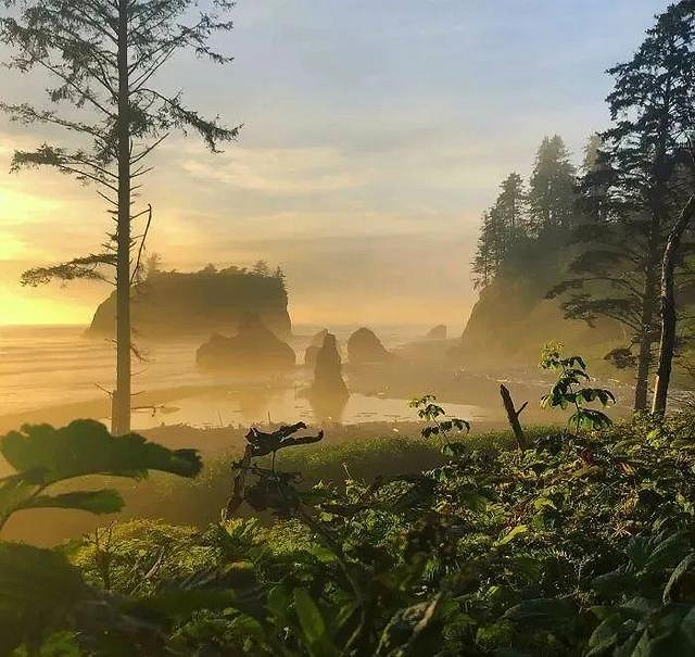 【不就是當個創世神麥塊麽】合集:這隻鳥應該來自3D遊戲! 【不就是當個創世神麥塊麽】合集:這隻鳥應該來自3D遊戲!