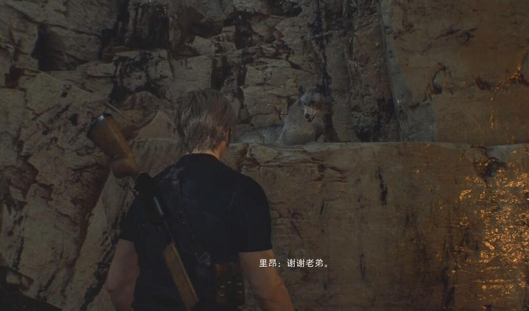 《惡靈古堡4重製版》Boss打法攻略大全 全Boss怎麽打? 《惡靈古堡4重製版》Boss打法攻略大全 全Boss怎麽打?