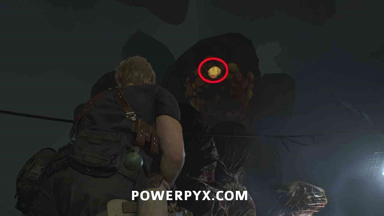 《惡靈古堡4重製版》懸賞任務攻略圖文全流程 懸賞任務怎麽開? 《惡靈古堡4重製版》懸賞任務攻略圖文全流程 懸賞任務怎麽開?