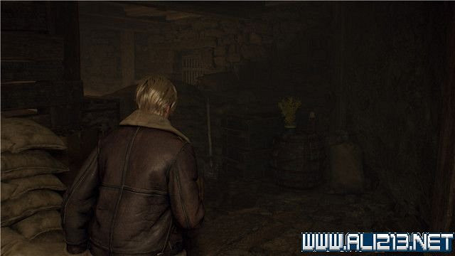 《惡靈古堡4重製版》全章節攻略圖文流程詳解 全支線全物品收集攻略 《惡靈古堡4重製版》全章節攻略圖文流程詳解 全支線全物品收集攻略