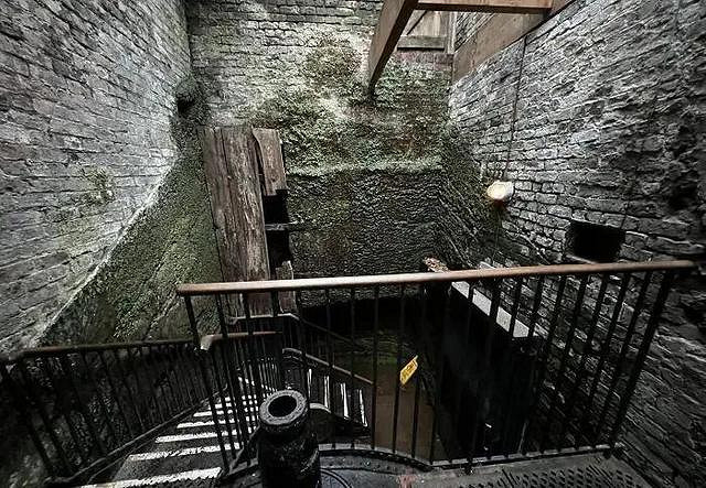 【不就是當個創世神麥塊麽】合集:這隻鳥應該來自3D遊戲! 【不就是當個創世神麥塊麽】合集:這隻鳥應該來自3D遊戲!