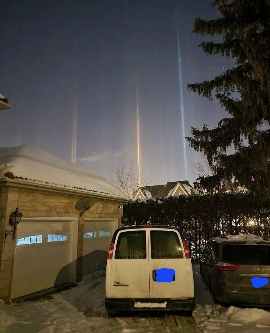 【不就是當個創世神麥塊麽】合集:這隻鳥應該來自3D遊戲! 【不就是當個創世神麥塊麽】合集:這隻鳥應該來自3D遊戲!