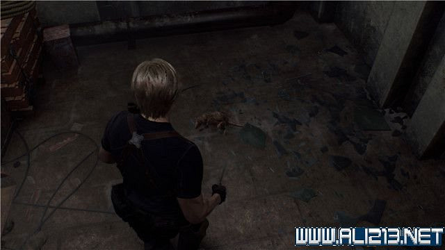 《惡靈古堡4重製版》全章節攻略圖文流程詳解 全支線全物品收集攻略 《惡靈古堡4重製版》全章節攻略圖文流程詳解 全支線全物品收集攻略