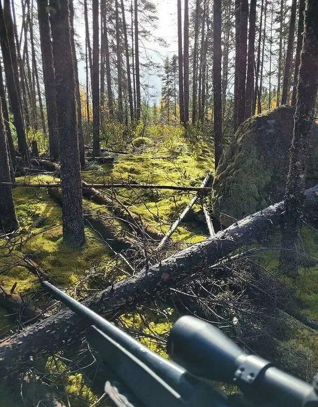 【不就是當個創世神麥塊麽】合集:這隻鳥應該來自3D遊戲! 【不就是當個創世神麥塊麽】合集:這隻鳥應該來自3D遊戲!