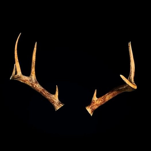 《生化4RE》通關解鎖獎勵：貓耳裡昂&amp;暴力無限火箭筒！