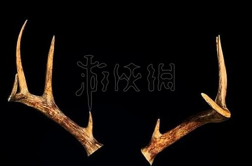 《惡靈古堡4重製版》鹿角裝扮怎麽獲得?鹿角裝扮獲得方法 《惡靈古堡4重製版》鹿角裝扮怎麽獲得?鹿角裝扮獲得方法