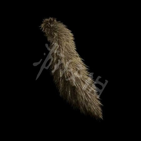 《惡靈古堡4重製版》通關獎勵內容分享 通關有什麽獎勵？