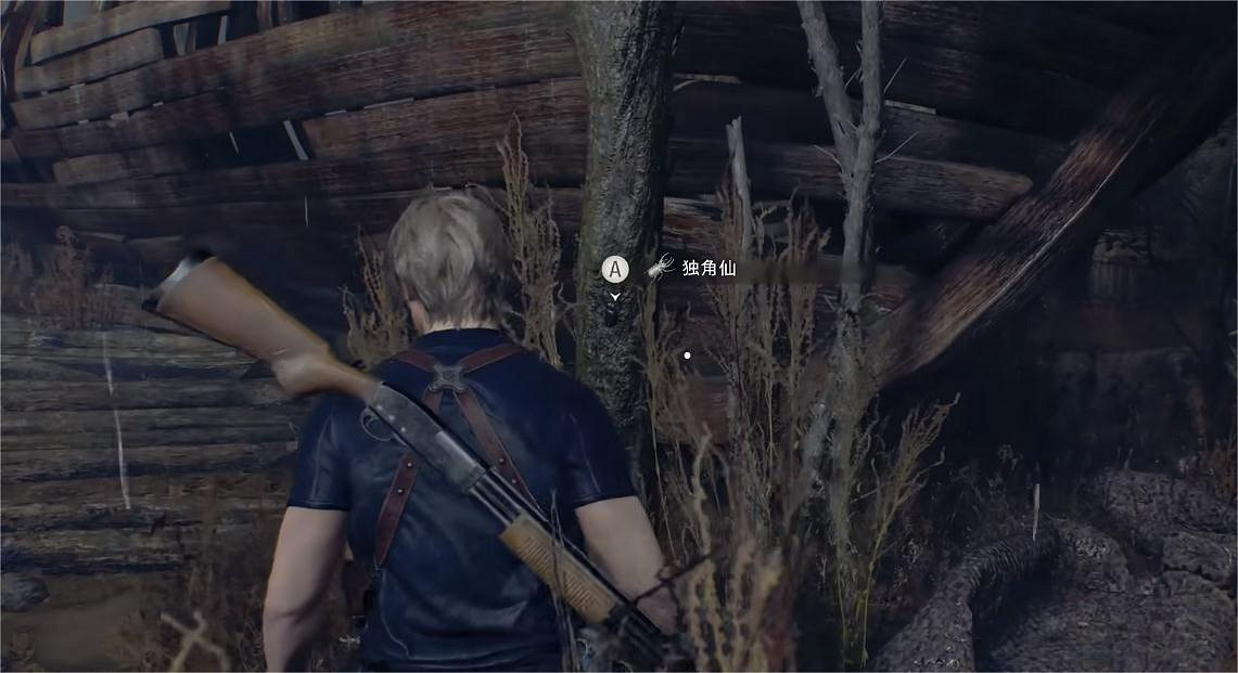 《惡靈古堡4重製版》隱藏收集品獨角仙怎麽獲得?隱藏收集品獨角仙位置介紹 《惡靈古堡4重製版》隱藏收集品獨角仙怎麽獲得?隱藏收集品獨角仙位置介紹