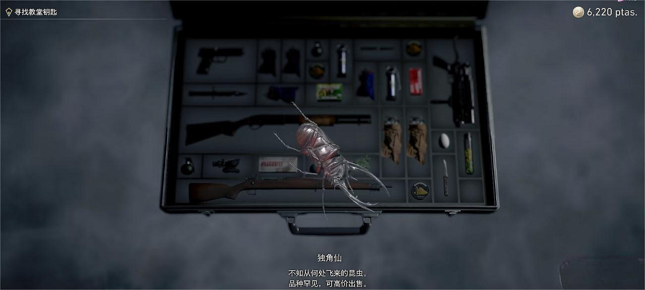 《惡靈古堡4重製版》隱藏收集品獨角仙怎麽獲得?隱藏收集品獨角仙位置介紹 《惡靈古堡4重製版》隱藏收集品獨角仙怎麽獲得?隱藏收集品獨角仙位置介紹