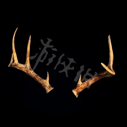 《惡靈古堡4重製版》通關獎勵內容分享 通關有什麽獎勵？