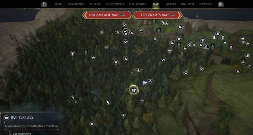 《霍格華茲的傳承》禁林蝴蝶在哪?禁林蝴蝶寶藏位置 《霍格華茲的傳承》禁林蝴蝶在哪?禁林蝴蝶寶藏位置