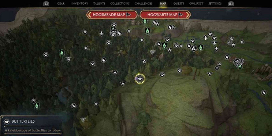 《霍格華茲的傳承》禁林蝴蝶在哪?禁林蝴蝶寶藏位置 《霍格華茲的傳承》禁林蝴蝶在哪?禁林蝴蝶寶藏位置